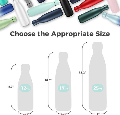 17 oz Insulated Stainless Steel Water Bottle - Double Wall Vacuum Flask, Keeps Beverages Cold for 24 Hours & Hot for 12 Hours, Available in Packs of 1, 4, 8, or 12 (Blue, Single Pack)